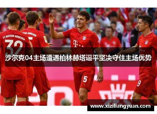 沙尔克04主场遭遇柏林赫塔逼平坚决守住主场优势